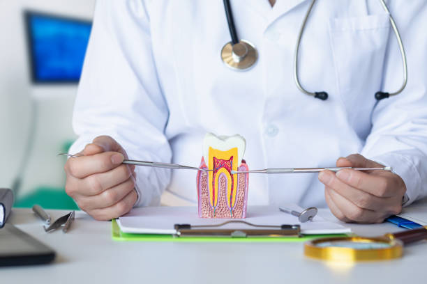 Best Emergency Dental Extractions in Upland, PA